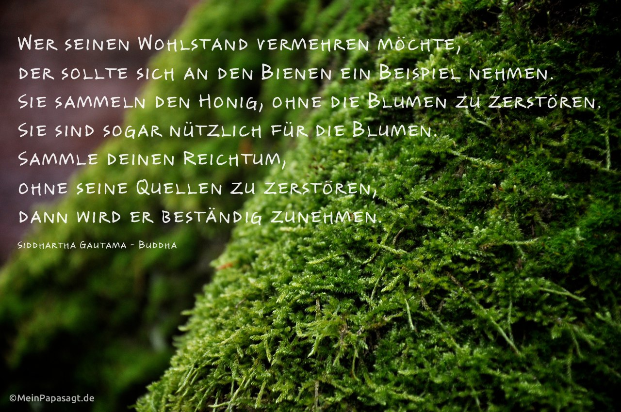 31++ Buddhistische sprueche , Wer seinen Wohlstand vermehren möchte, der sollte sich an den Bienen...