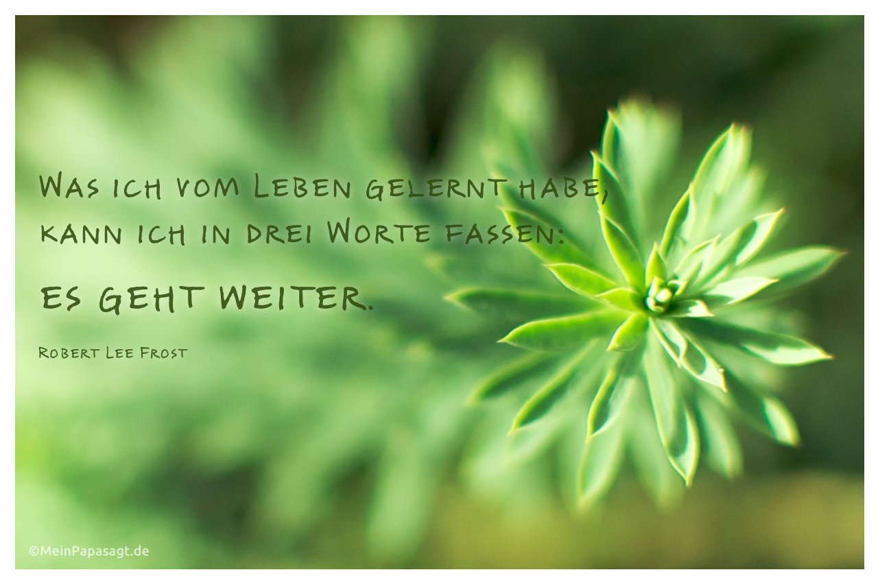 Mein Papa sagt&hellip; Top 10 - Zitate - Leben mit Bild