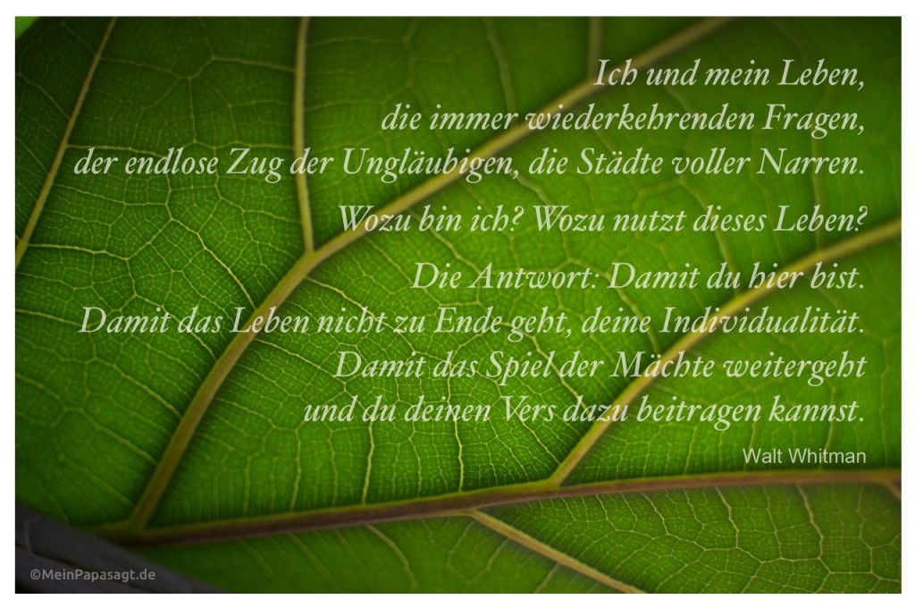 zitate enttäuschung und wut