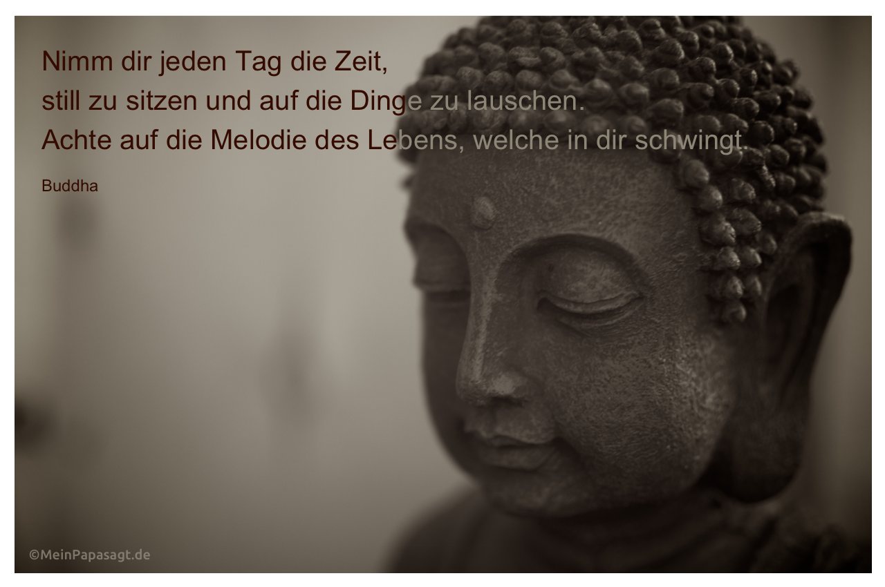 Zitate Vom Leben Buddha Zitate Ehe