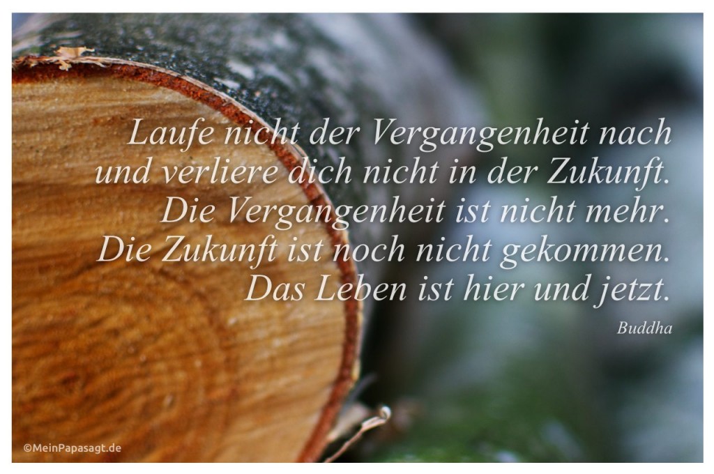 Buddha Zitate Glaube Nichts Zitate Leben Leben