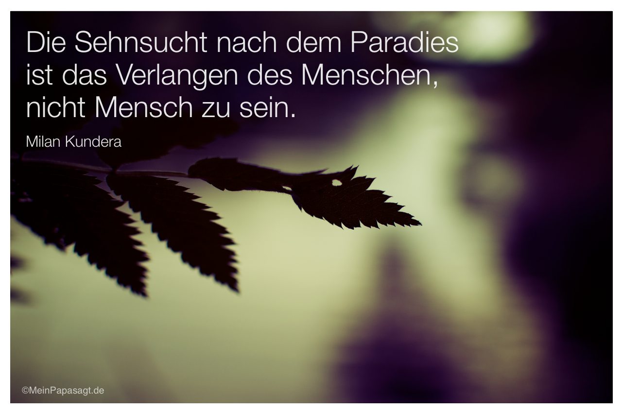 Buddha Zitate Sehnsucht Spruche Allein Durchs Leben