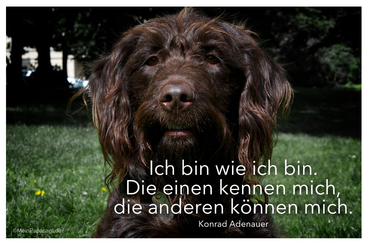 spruch des tages neuanfang