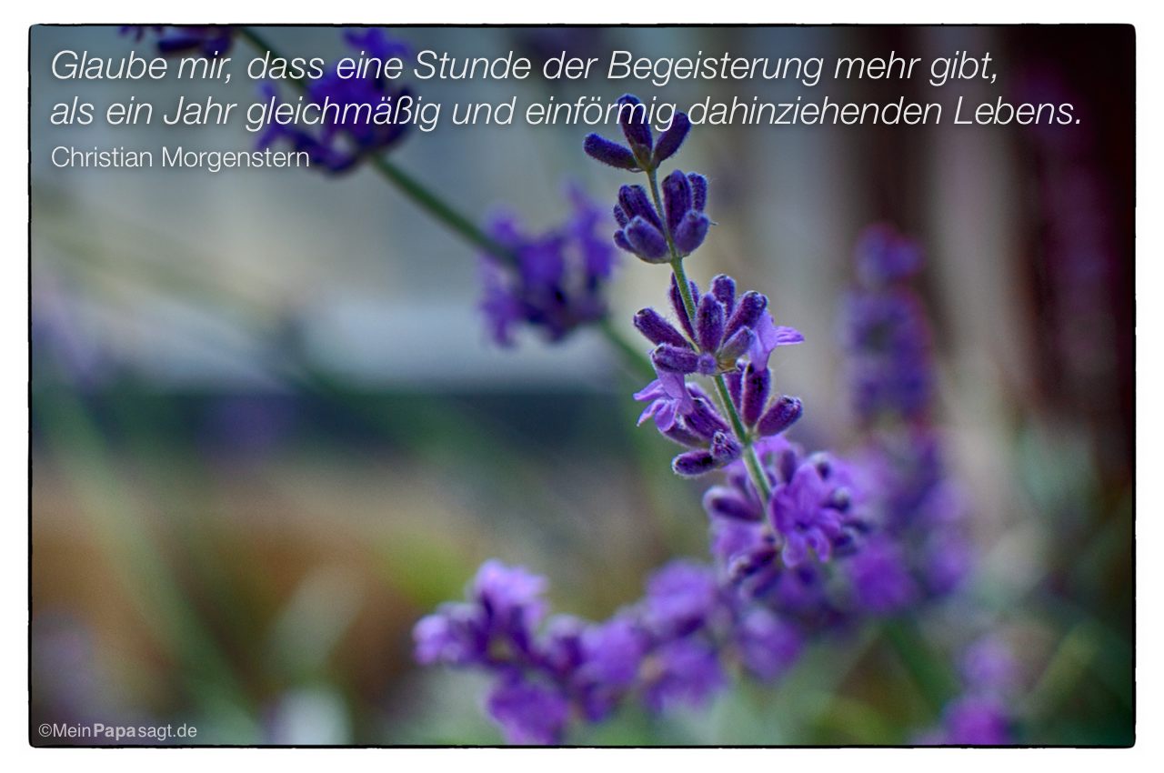 coole faust zitate