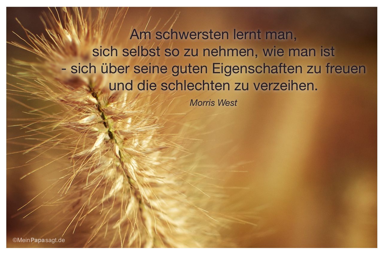 Goethe Zitate Zur Geburt Zitate Spr che Leben Goethe Zitate Zur Geburt Zitate Spr che Leben