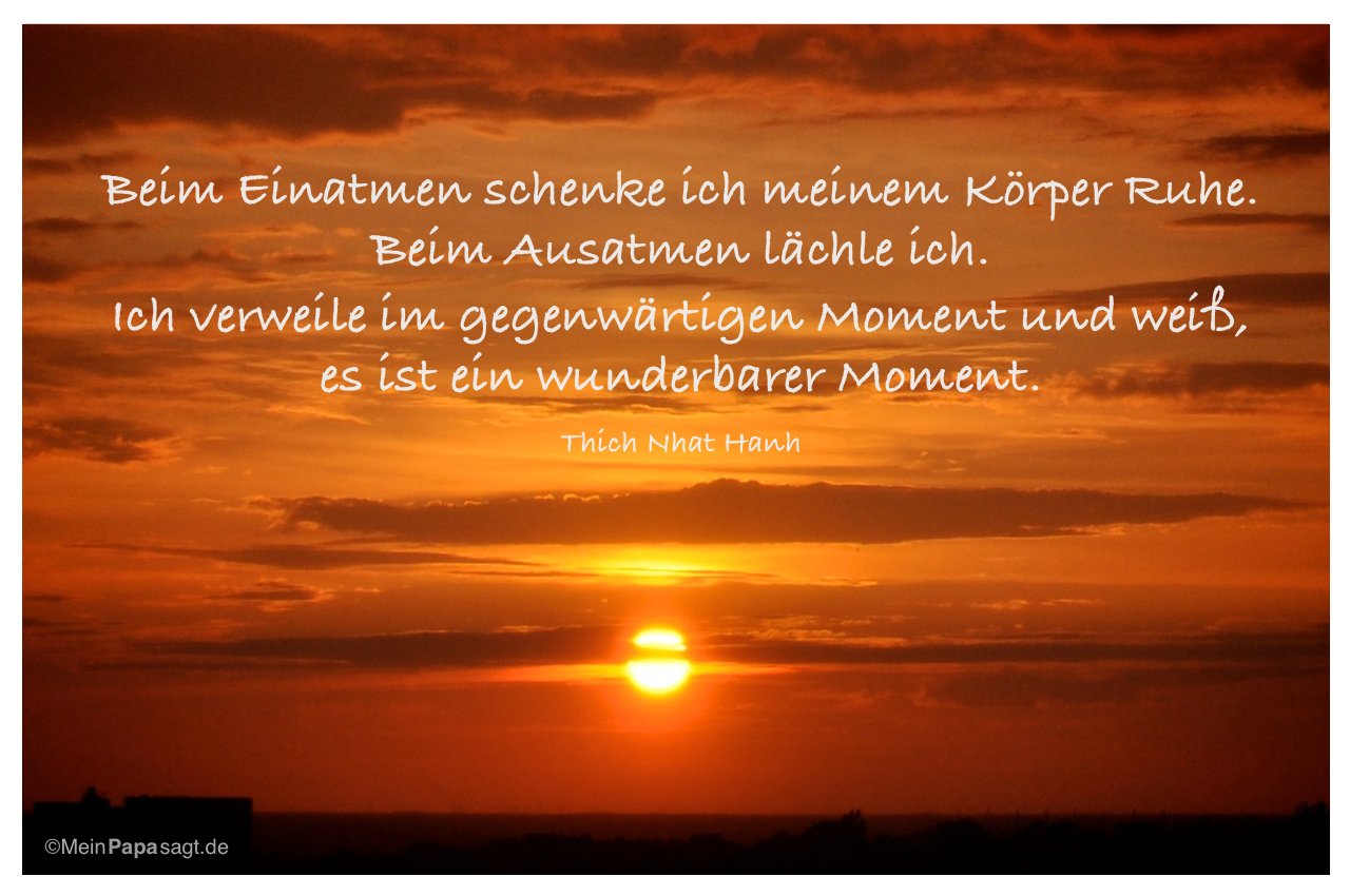 schöner spruch schmetterling