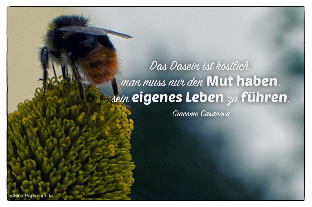 32+ Spruch mut machen krankheit information