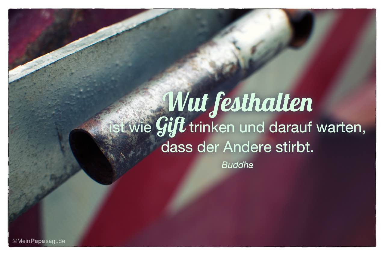 Wut Festhalten Ist Wie Gift Trinken Und Darauf Warten Dass Der Andere Stirbt