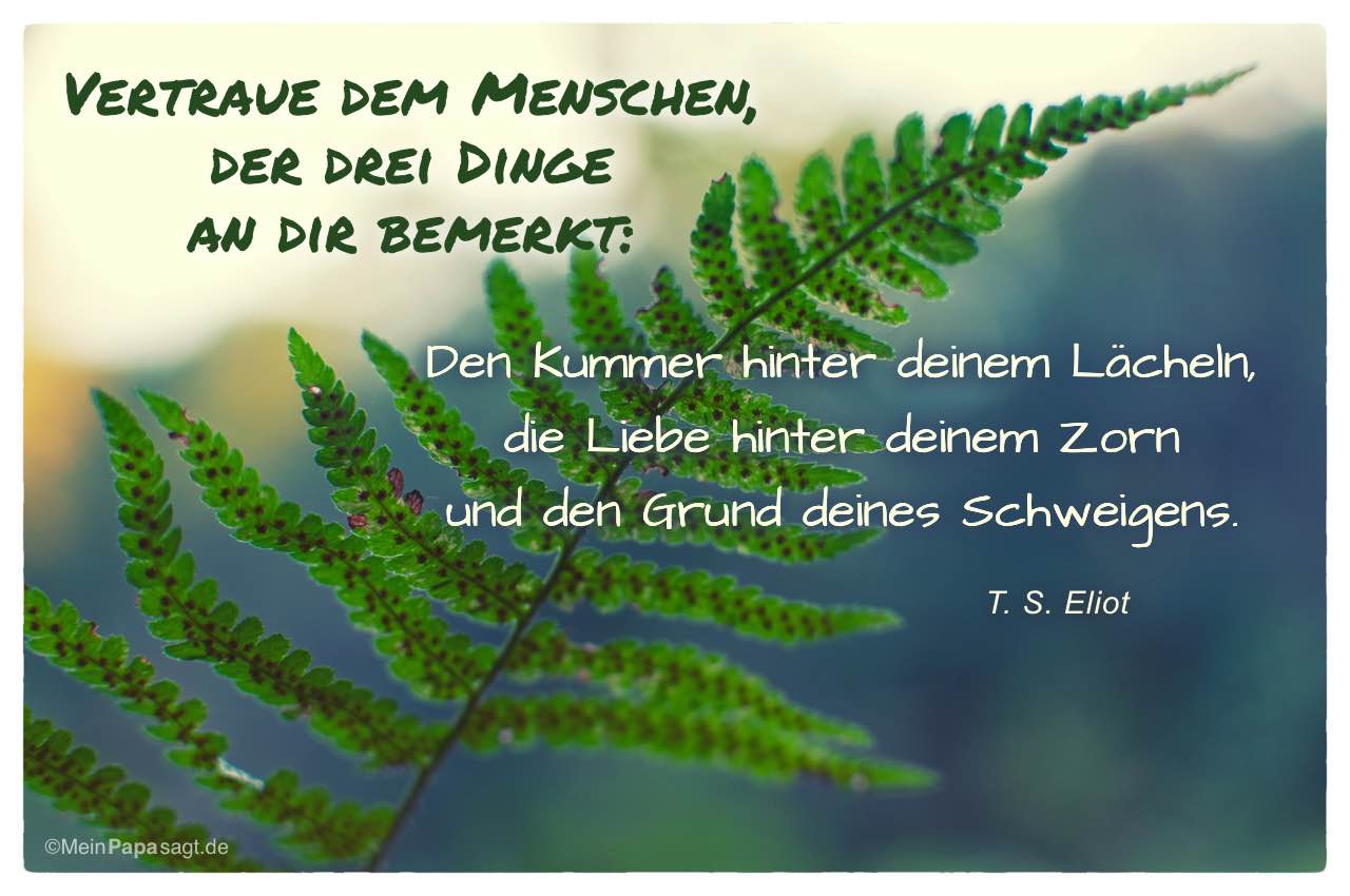 Bild mit Zitat, zu sehen ist ein Farnblatt mit der Aufschrift - Vertraue dem Menschen, der drei Dinge an dir bemerkt - Den Kummer hinter deinem Lächeln, die Liebe hinter deinem Zorn und den Grund deines Schweigens. T.S. Eliot