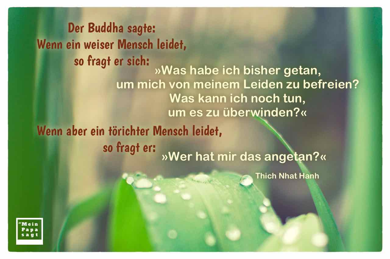 Der Buddha Sagte Wenn Ein Weiser Mensch Leidet So Fragt Er Sich Was