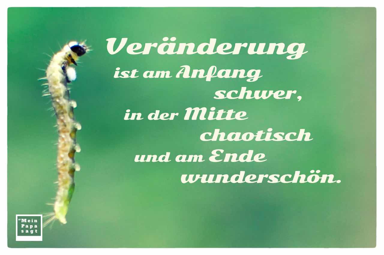 44+ Sprueche studienbeginn , Veränderung ist am Anfang schwer, in der Mitte chaotisch und am Ende...