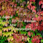 Herbst-Blätter gefärbt, von grün zu rot und dem Jüdischen Sprichwort: Die Jugend ernährt sich von Träumen, das Alter von Erinnerungen. Jüdisches Sprichwort
