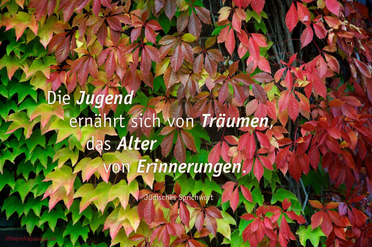 Herbst-Blätter gefärbt, von grün zu rot und Mein Papa sagt Jüdischen Sprichwort: Die Jugend ernährt sich von Träumen, das Alter von Erinnerungen. Jüdisches Sprichwort