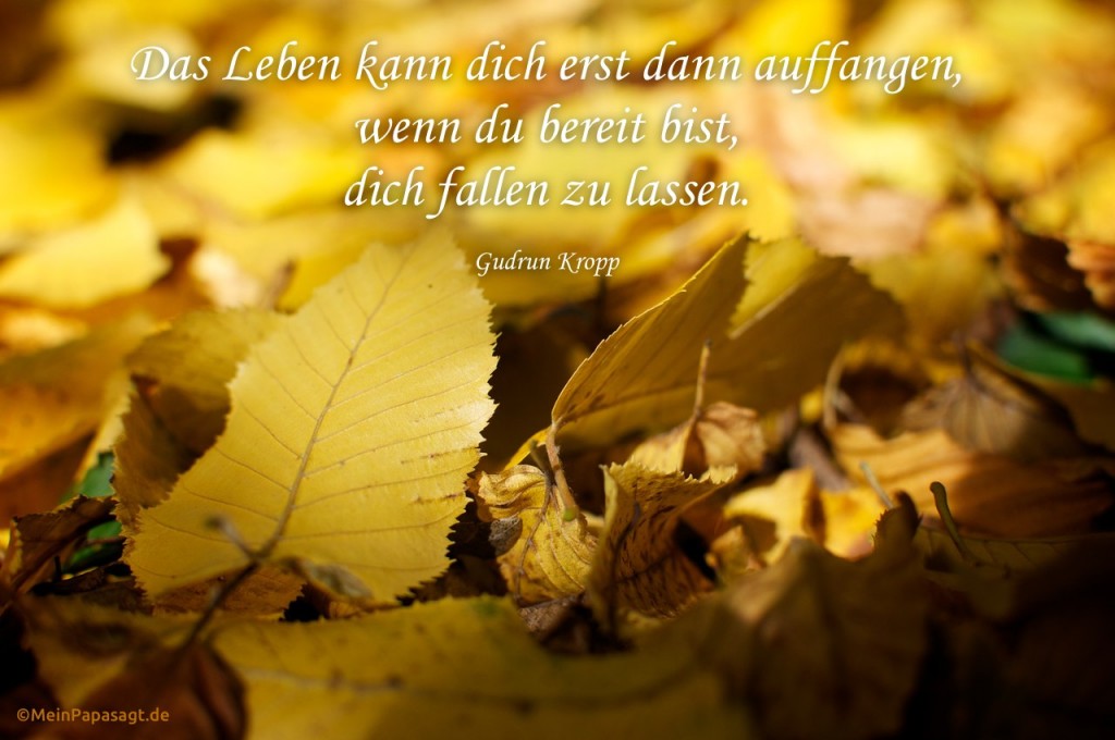 Das Leben kann dich erst dann auffangen, wenn du bereit bist, dich