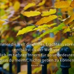 Herbstliches Laub mit Alt-Berliner Gartenzaun mit dem Tolle Zitat: Was immer die Welt dir deines Erachtens vorenthält, enthältst du der Welt vor, weil du dich im tiefsten Innern für so unbedeutend hältst, dass du meinst, nichts geben zu können. Eckhart Tolle