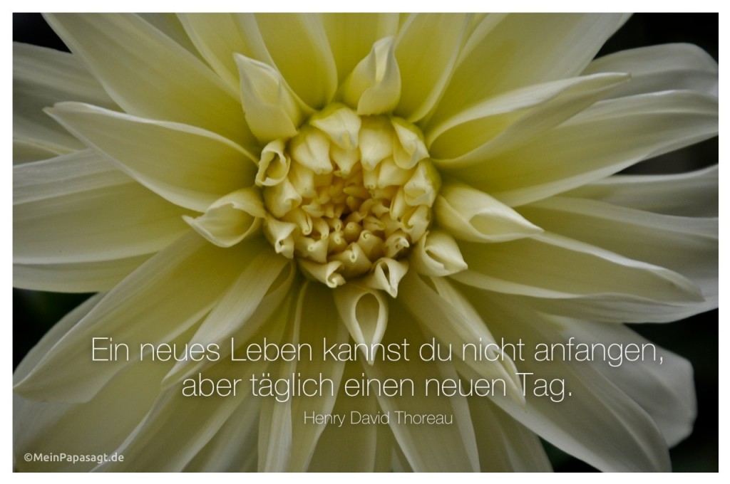 Ein neues Leben kannst du nicht anfangen, aber täglich einen neuen Tag...
