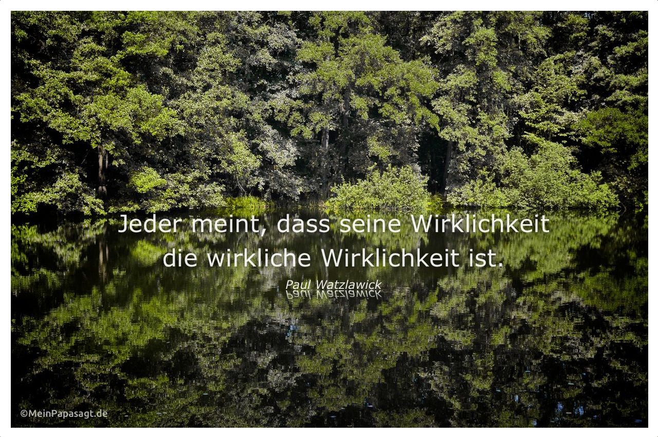 Waldsee im Havelland mit dem Watzlawick Zitat: Jeder meint, dass seine Wirklichkeit die wirkliche Wirklichkeit ist. Paul Watzlawick