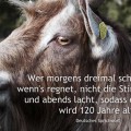 Beitragsbild, Wer morgens dreimal schmunzelt