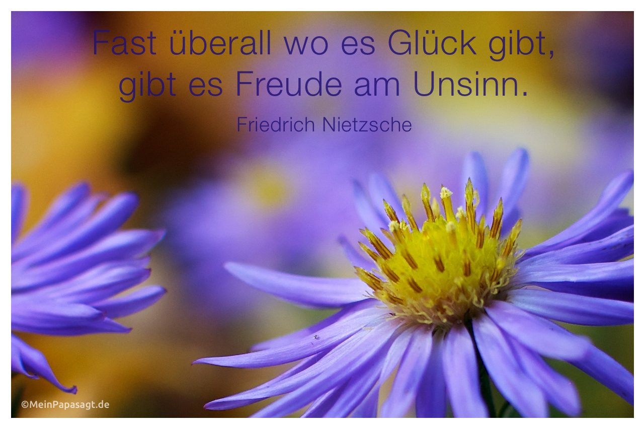 Nahaufnahme eines Blütenkelchs mit dem Friedrich Nietzsche Zitat: Fast überall wo es Glück gibt, gibt es Freude am Unsinn. Friedrich Nietzsche
