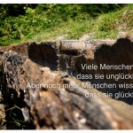 Wassertränke in den bayerischen Alpen. Viele Menschen wissen, dass sie unglücklich sind. Aber noch mehr Menschen wissen nicht, dass sie glücklich sind. Albert Schweitzer