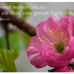 Mandelblüte mit dem Zitat: Die Formel meines Glücks: ein Ja, ein Nein, eine gerade Linie, ein Ziel. Friedrich Nietzsche