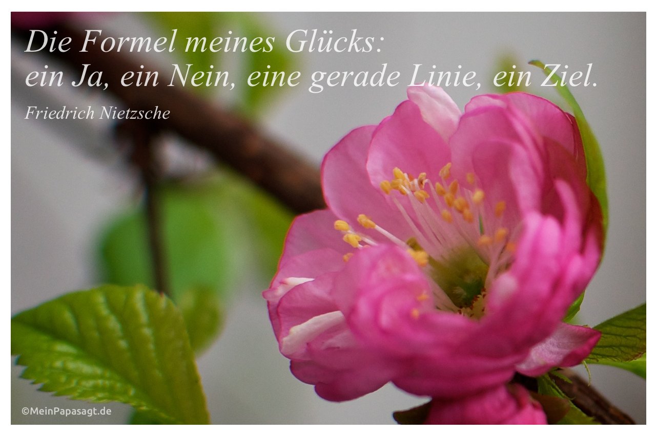 Mandelblüte mit dem Friedrich Nietzsche Zitat: Die Formel meines Glücks: ein Ja, ein Nein, eine gerade Linie, ein Ziel. Friedrich Nietzsche