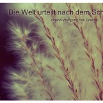 Gräser mit dem Zitat: Die Welt urteilt nach dem Scheine. Johann Wolfgang von Goethe