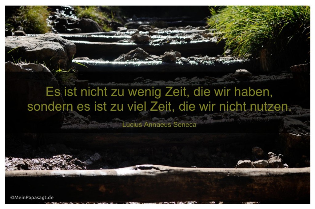 Es ist nicht zu wenig Zeit, die wir haben, sondern es ist zu viel Zeit