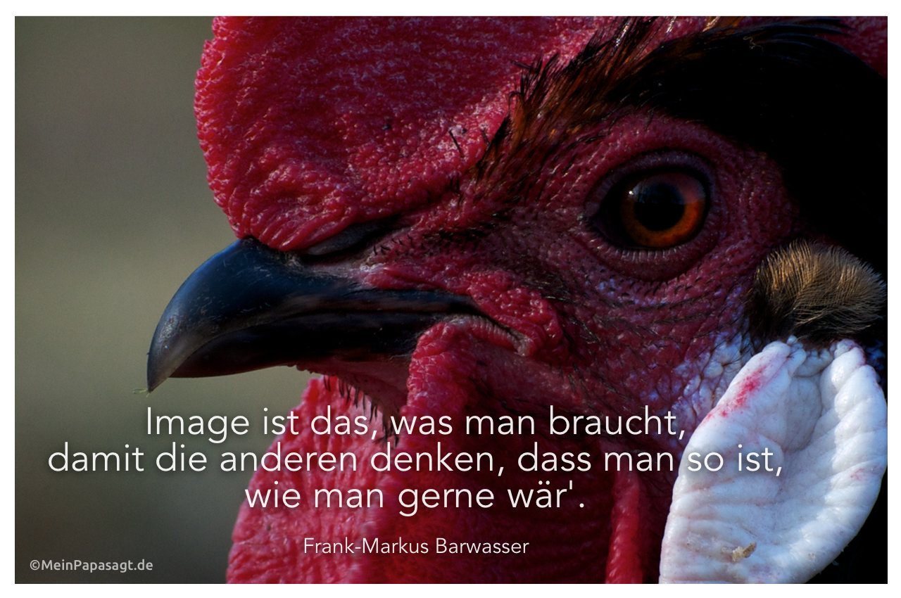 Hahn mit dem Zitat: Image ist das, was man braucht, damit die anderen denken, dass man so ist, wie man gerne wär'. Frank-Markus Barwasser