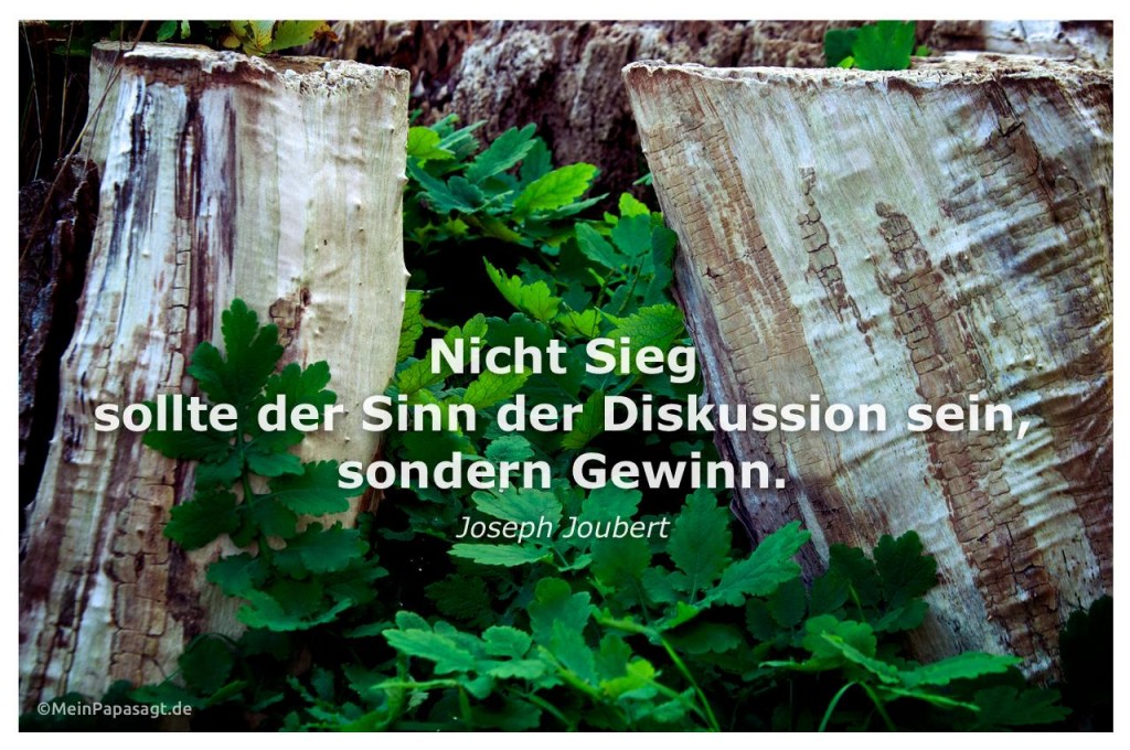 Nicht Sieg sollte der Sinn der Diskussion sein, sondern Gewinn J. Joubert