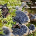 Beitragsbild, Gedanken sind wie Stufen