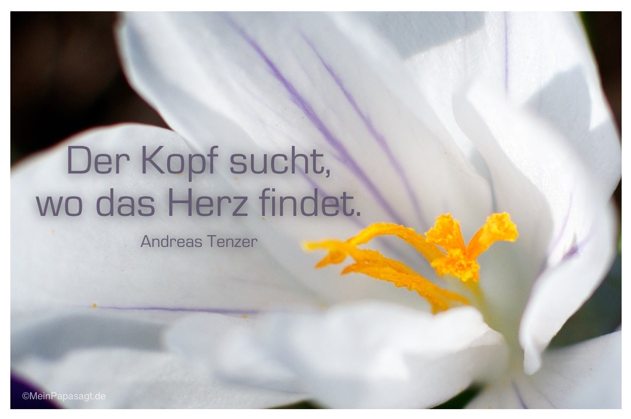 Blütenkelch mit dem Zitat: Der Kopf sucht, wo das Herz findet. Andreas Tenzer