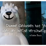 Berliner Bär mit dem Zitat: Dumme Gedanken hat jeder, aber der Weise verschweigt sie. Wilhelm Busch