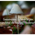 Pilze mit dem Zitat: Gemeinsame Erinnerungen sind manchmal die besten Friedensstifter. Marcel Proust