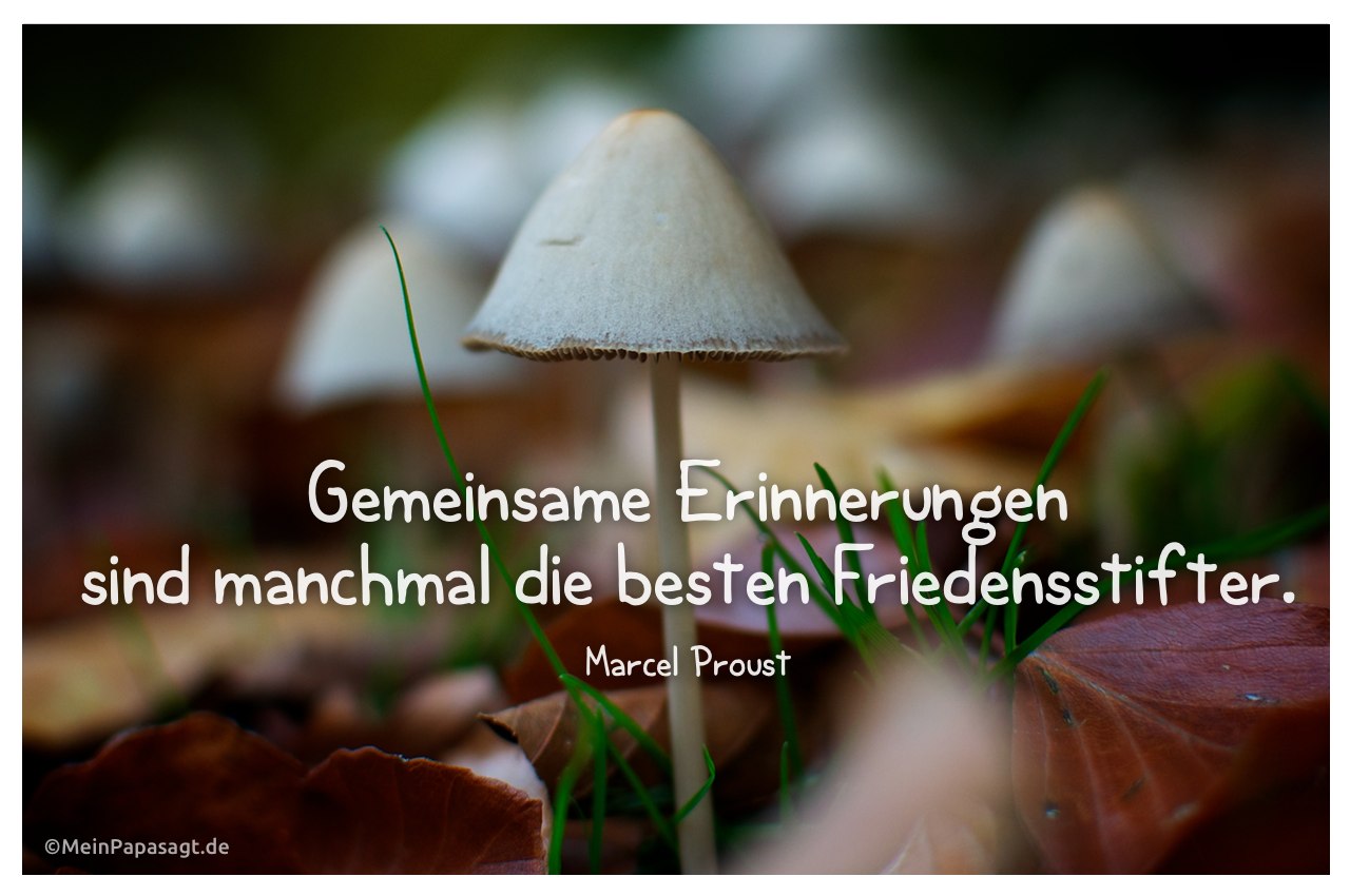 Pilze mit Mein Papa sagt Marcel Proust Zitate Bilder: Gemeinsame Erinnerungen sind manchmal die besten Friedensstifter. Marcel Proust