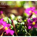 Blumen mit dem Zitat: Ohne Musik wäre das Leben ein Irrtum. Friedrich Nietzsche