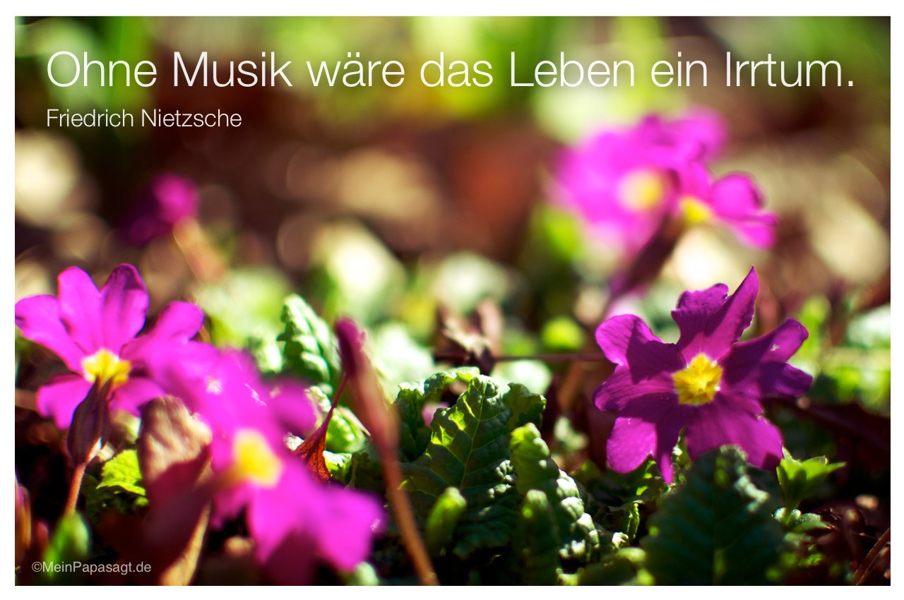 Blumen mit dem Friedrich Nietzsche Zitat: Ohne Musik wäre das Leben ein Irrtum. Friedrich Nietzsche