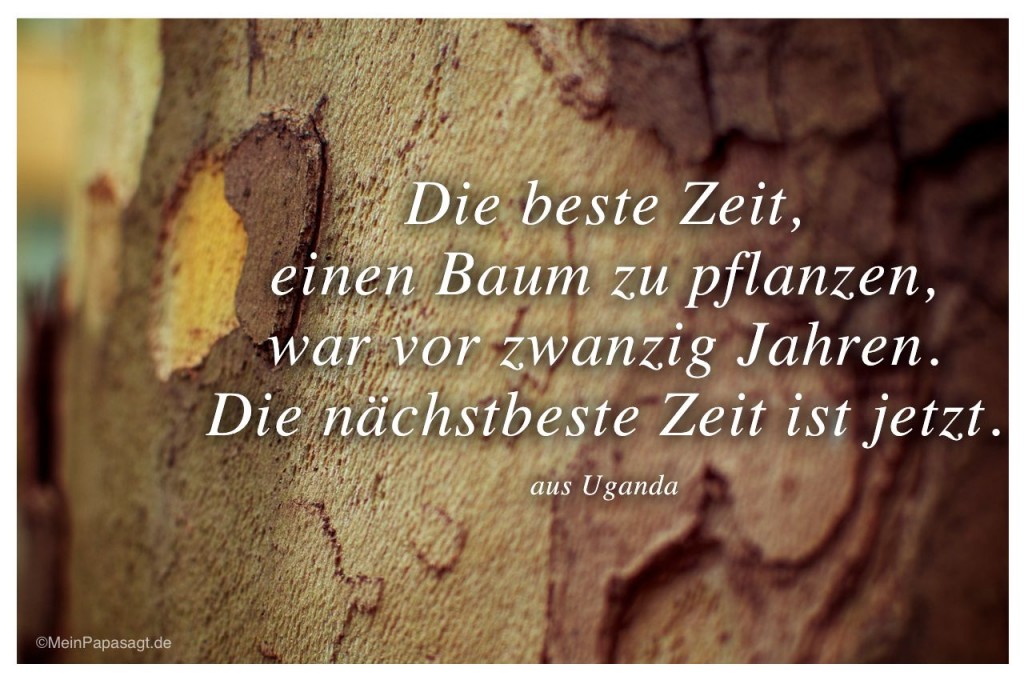 Die beste Zeit, einen Baum zu pflanzen, war vor zwanzig Jahren. Die