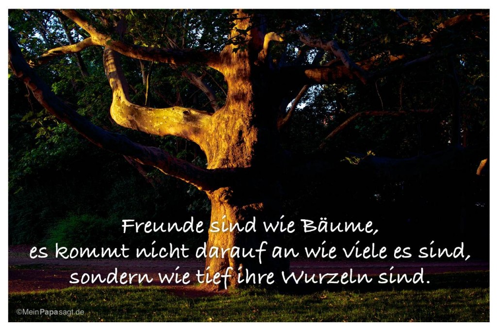 Freunde sind wie Bäume, es kommt nicht darauf an wie viele es sind...