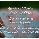 Marienkäfer auf einem Stein mit dem Zitat: Glaube an Wunder, Liebe und Glück. Schaue nach vorne und nicht zurück. Lebe dein Leben und stehe dazu,  denn dieses Leben, das lebst nur du!