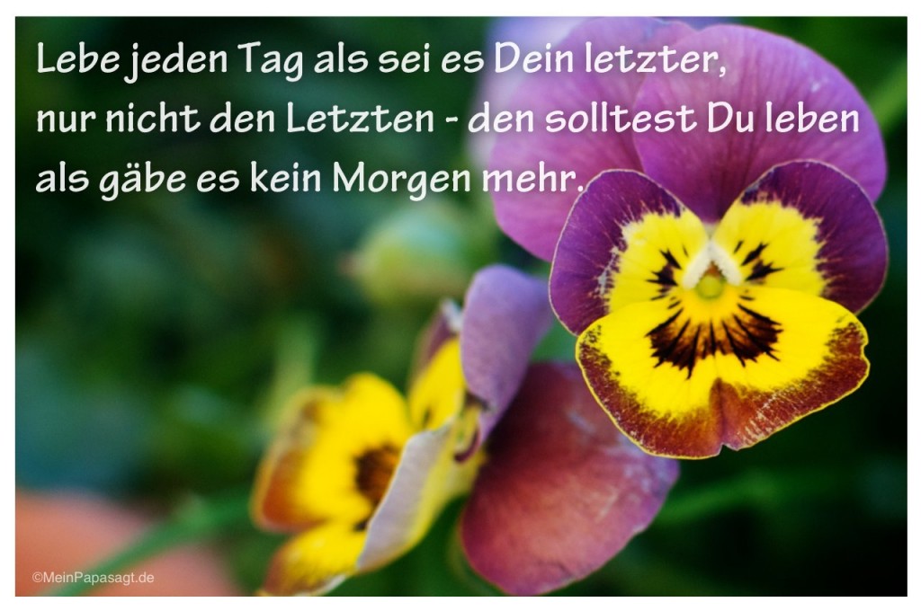 Lebe jeden Tag als sei es Dein letzter, nur nicht den Letzten - den