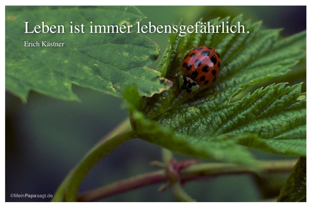 Mein Papa sagt: Leben ist immer lebensgefährlich - Erich Kästner
