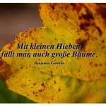 Herbstlaub mit dem Zitat: Mit kleinen Hieben, fällt man auch große Bäume. Benjamin Franklin