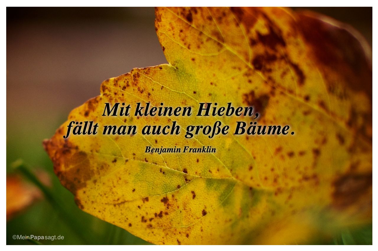 Herbstlaub mit dem Zitat: Mit kleinen Hieben, fällt man auch große Bäume. Benjamin Franklin