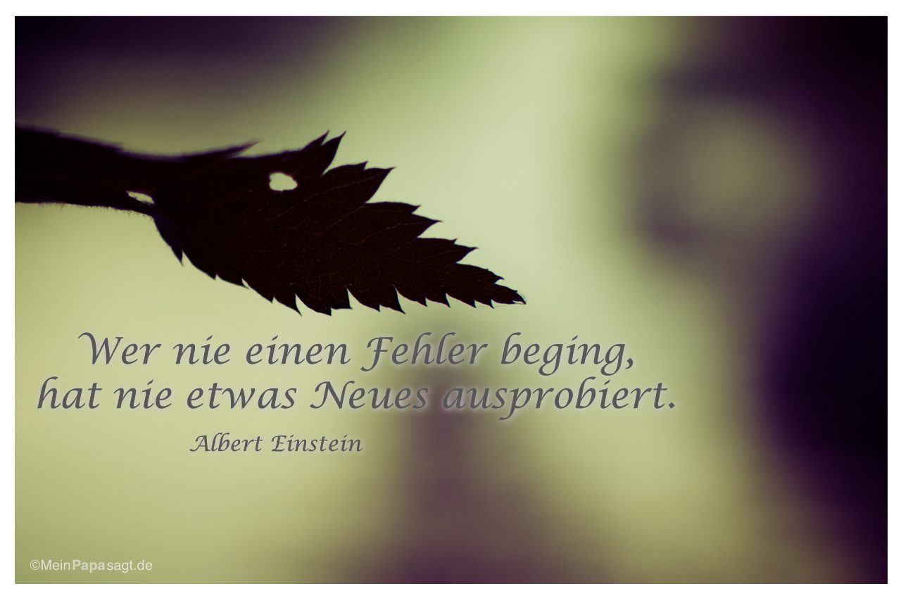 47+ Albert einstein spruch , Wer nie einen Fehler beging, hat nie etwas Neues ausprobiert Einstein