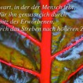 Jeder lässt die Gegenwart an sich vorbeischlüpfen und hält ...