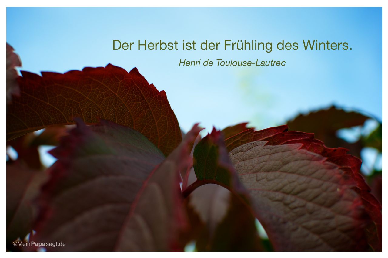 31++ Sprueche ueber freundschaft zum nachdenken , Mein Papa sagt Der Herbst ist der Frühling des Winters...