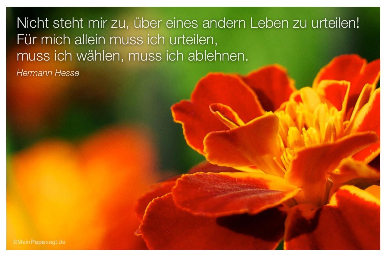 Blütenkelch mit Mein Papa sagt Hermann Hesse Zitate Bilder: Nicht steht mir zu, über eines andern Leben zu urteilen! Für mich allein muss ich urteilen, muss ich wählen, muss ich ablehnen. Hermann Hesse