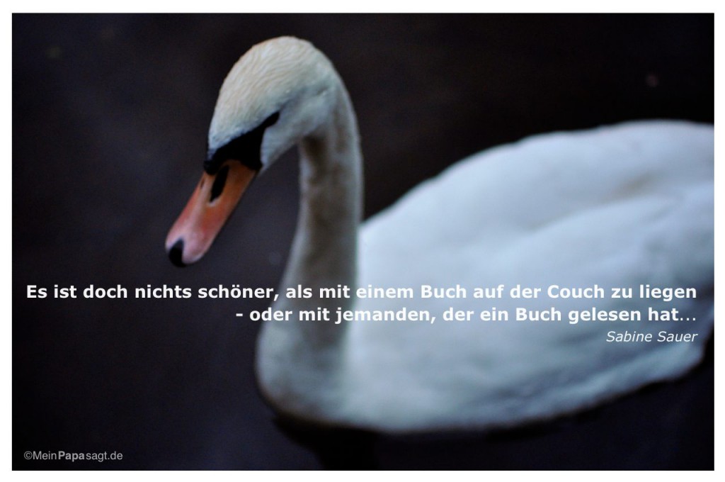 Es ist doch nichts schöner, als mit einem Buch auf der Couch zu liegen...