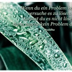 Tropfen auf Palmenblatt mit dem Zitat: Wenn du ein Problem hast, versuche es zu lösen. Kannst du es nicht lösen, dann mache kein Problem daraus. Buddha